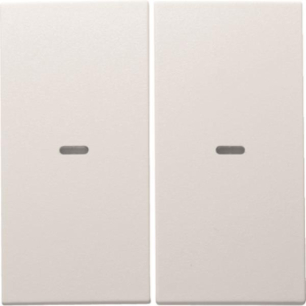 Berker Wippe 2fach mit klarer   80960399 