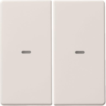 Berker Wippe 2fach mit klarer   80960329 