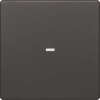 Berker Wippe 1fach mit klarer   80960226 