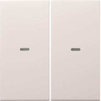 Berker Wippe 2fach mit klarer   80960389 