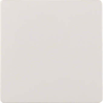 BER Zentralplatte               75940409 