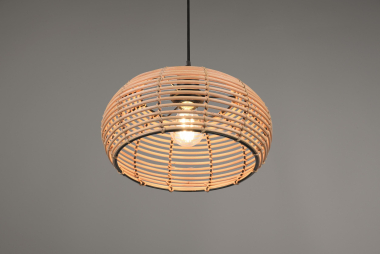 Trio Pendel Leuchte INGA 1xE27 312200136 