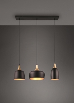 Trio Pendelleuchte             310500332 