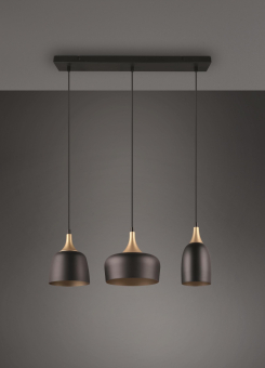 Trio Pendelleuchte             310500332 