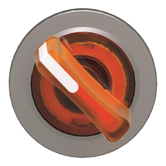 Schneider Frontelement         ZB4FK1453 