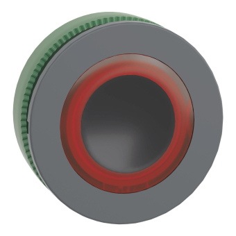 Schneider Leuchtdrucktaster     ZB5FW943 