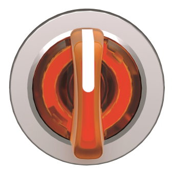 Schneider Frontelement         ZB4FK1353 