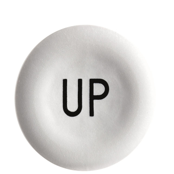 Schneider Tastenschild rund flach ZBA343 