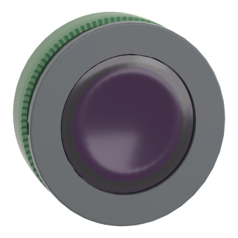 Schneider Leuchtdrucktaster     ZB5FW363 