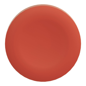 Schneider Tastenschild für Front-  ZBAF4 