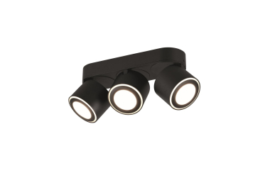 TRIO Ein-/Aufbauspot TAURUS sw 652910332 