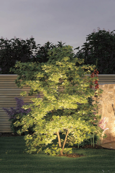 Paulmann Outdoor Plug & Shine Spot 93689 