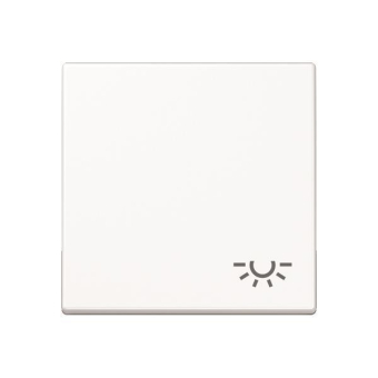 Jung Wippe Symbol Licht        A590BFLWW 