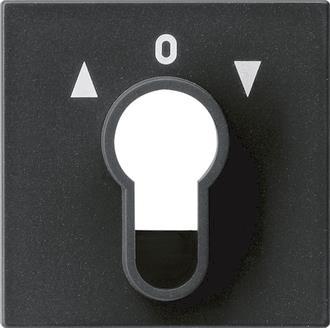 GIRA 0664005 Abdeckung Schlüsselschalter 