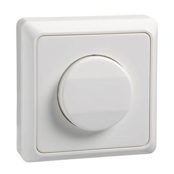 ELSO Renovierung AP Wipptaster    516214 