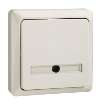 ELSO Renovierung AP Taster mit    506220 