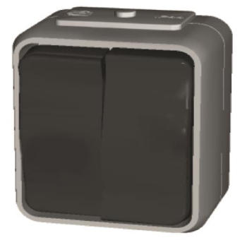 ELSO APWG Aqua-Top Doppeltaster   442509 