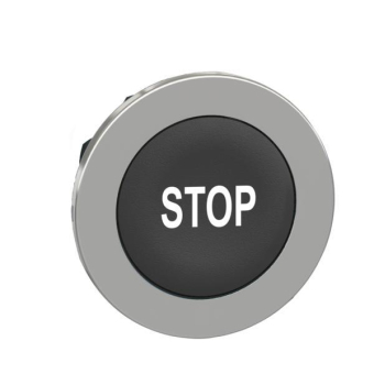 Schneider Frontelement          ZB4FA234 