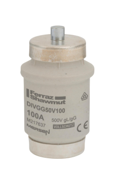 Mersen 00595.100700 DIV 100A gG rot 