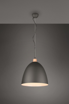 Trio Pendelleuchte JAGGER      R30681932 