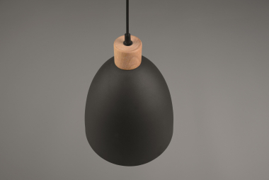 Trio Pendelleuchte JAGGER      R30681032 