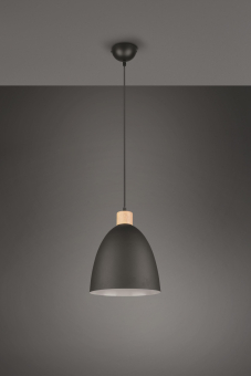 Trio Pendelleuchte JAGGER      R30681032 