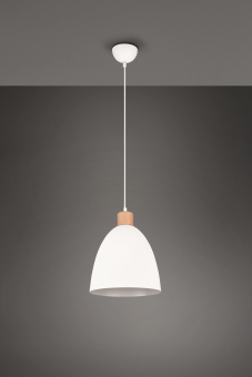 Trio Pendelleuchte JAGGER      R30681031 