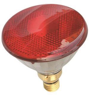 SUH PAR 38 E27 230V 80W rot flood  41631 