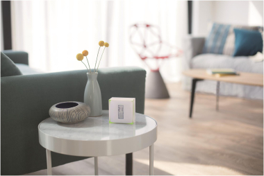 NETATMO OTH-PRO Smartes Thermostat 