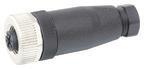 MURR M12 Steckverb.   7000-12961-0000000 
