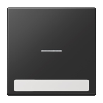 Jung Wippe 1f           LS 990 NAKO5 SWM 