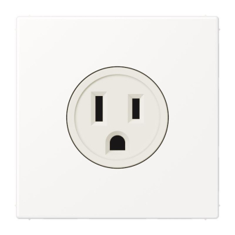 Jung Steckdose US-Norm     LS 521-15 WWM 