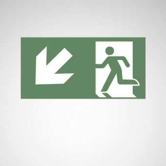 TRILUX 07650/07750 Pictogramm    7956000 