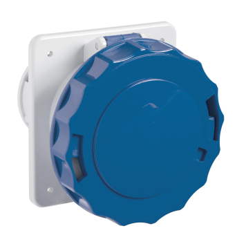 Schneider Anbausteckdose gerade    81690 