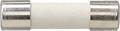 GIRA 049841 Sicherung T 6,3 H 250V 