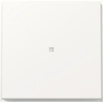 GIRA 329066 Wippe Kontrollfenster TX_44 