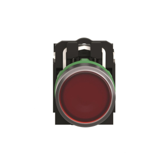 Schneider Leuchtdrucktaster SÖ XB5AW34G5 