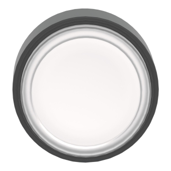 Schneider Frontelement flach   ZB4BP1837 