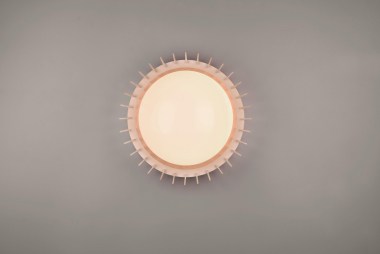 Trio LED DL MONTE 16,5W LED    R62171130 