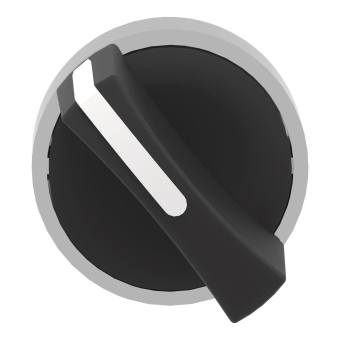 GS Wahlschalter 2-Stellungen      ZB4BD4 