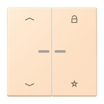 Jung eNet Taster Uni 1f FM LC 1701 P 228 