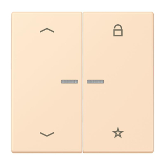 Jung eNet Taster Uni 1f FM LC 1701 P 226 