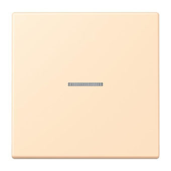 Jung eNet Taster Standard FM LC 1700 238 