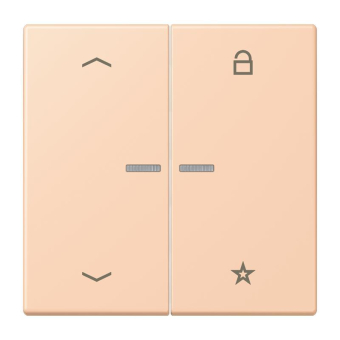 Jung eNet Taster Uni 1f FM LC 1701 P 234 