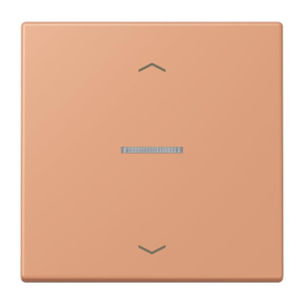 Jung eNet Taster        FM LC 1700 P 233 