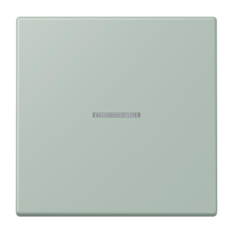 Jung eNet Taster Standard FM LC 1700 217 