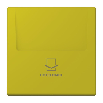 Jung Hotelcard-Schalter  LC 590 CARD 249 