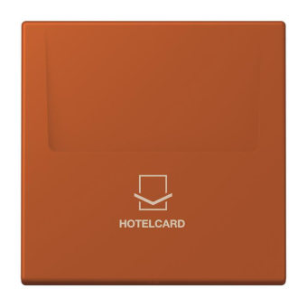 Jung Hotelcard-Schalter  LC 590 CARD 244 