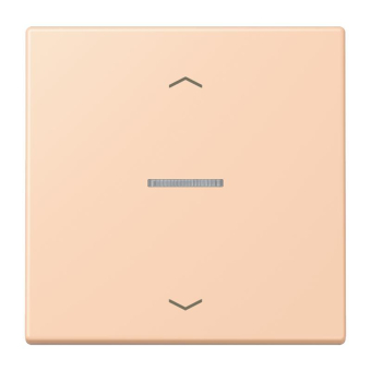 Jung eNet Taster        FM LC 1700 P 234 