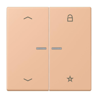 Jung eNet Taster Uni 1f FM LC 1701 P 231 